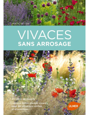 Vivaces sans arrosage