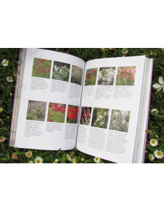 Vroče kombinacije 2