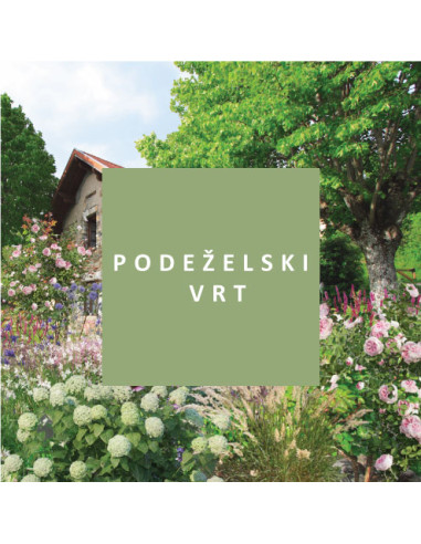 Podeželski vrt - načrt