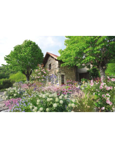 Podeželski vrt - načrt 2