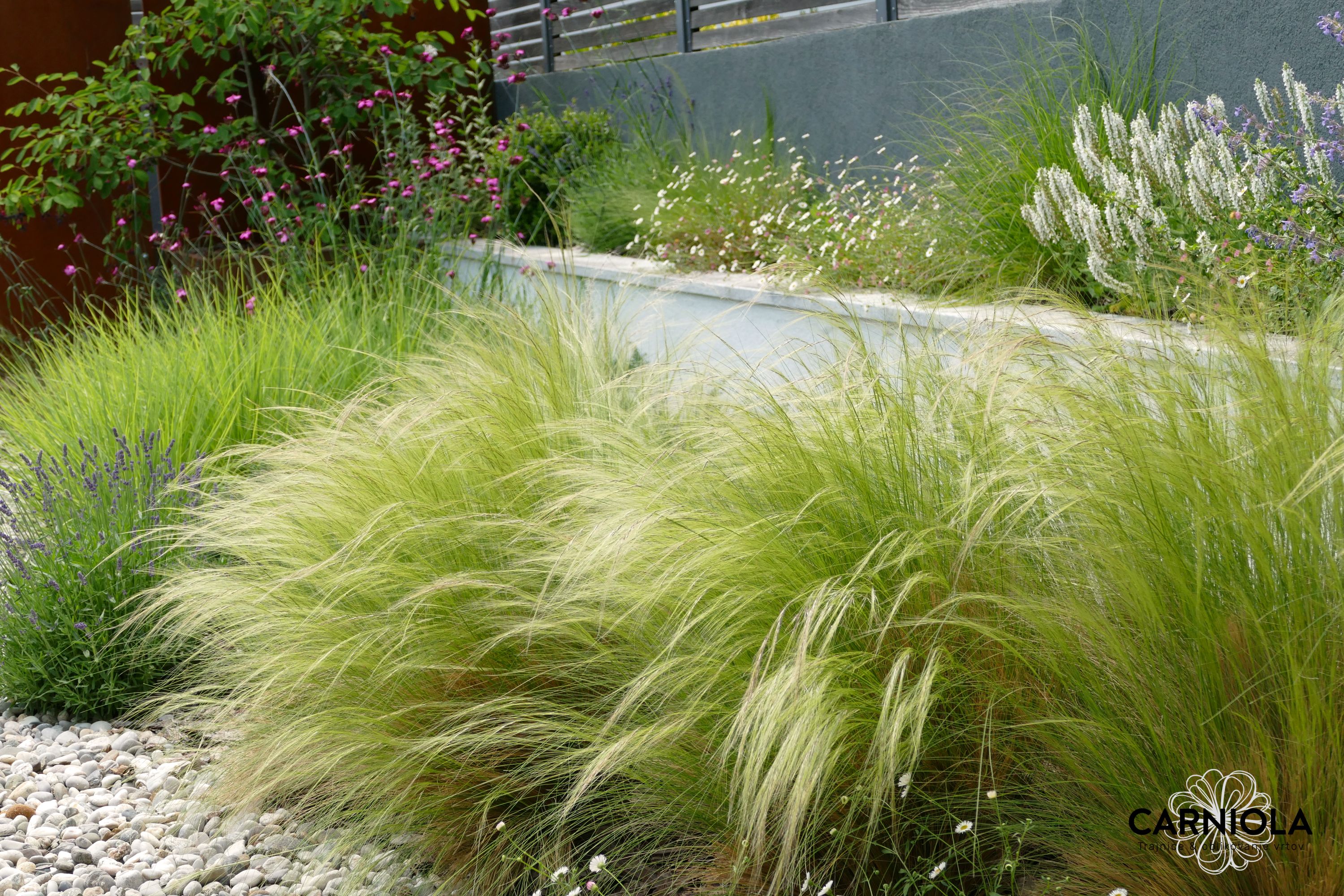 načrtovanje vrtov Matic Sever