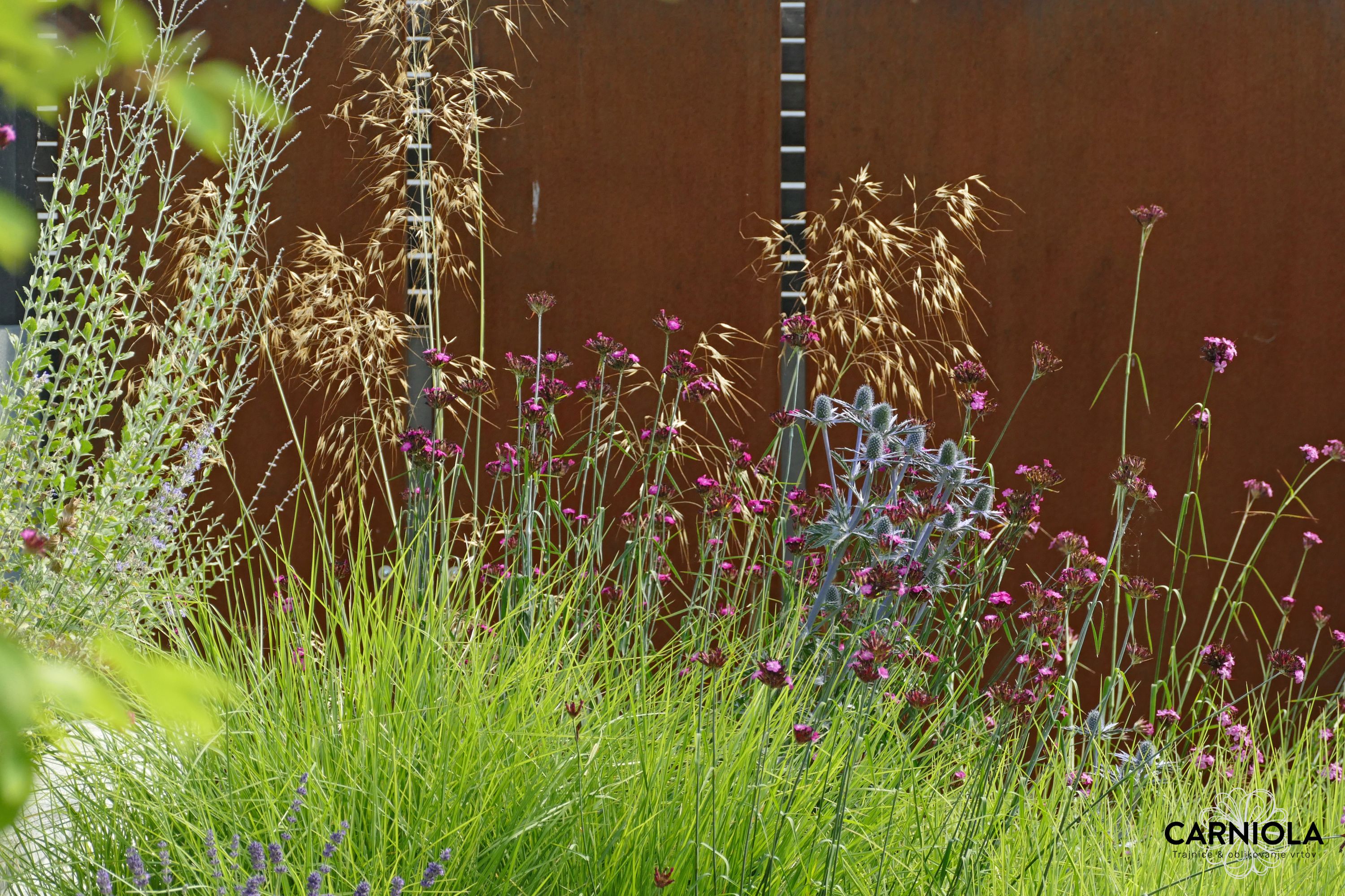 oblikovanje vrtov Trajnice Carniola