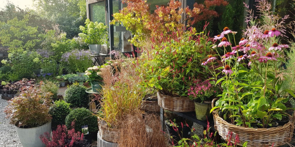 DAN ODPRTIH VRAT jesen 2025