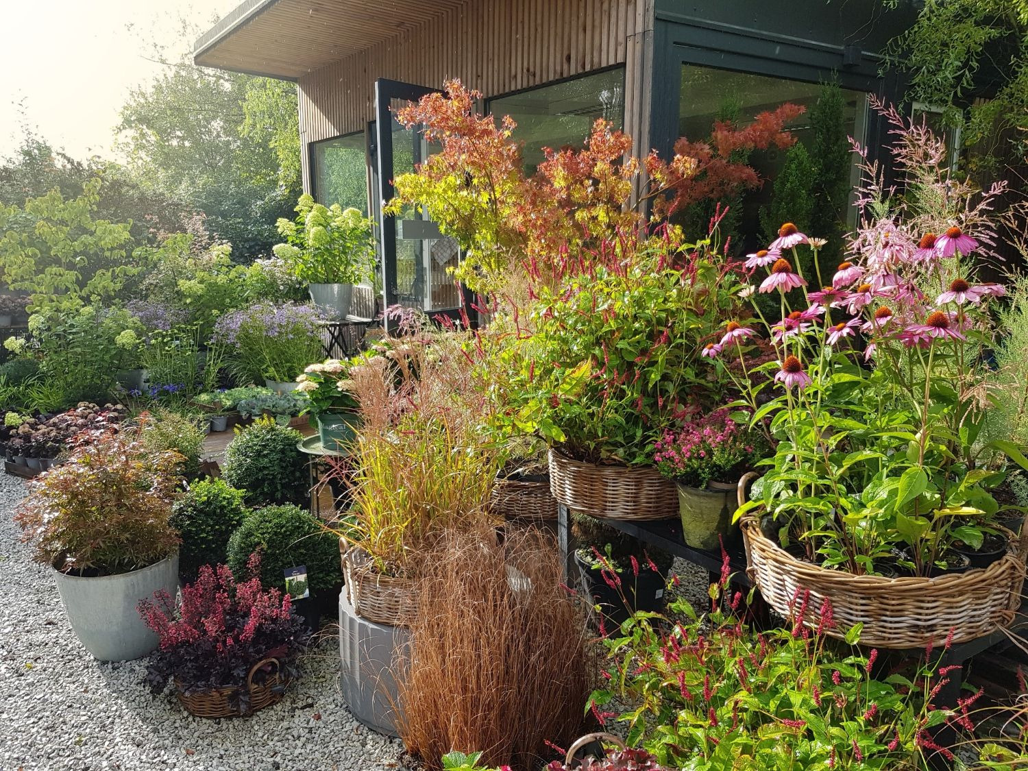 DAN ODPRTIH VRAT jesen 2025